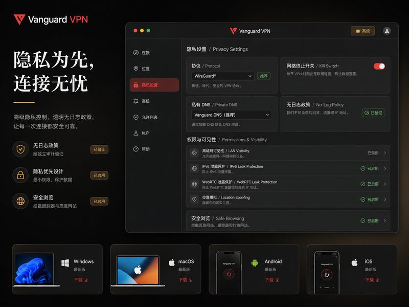 Vanguard VPN 隐私设置面板展示